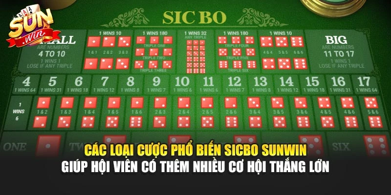 Các loại cược phổ biến Sicbo Sunwin giúp hội viên có thêm nhiều cơ hội thắng lớn