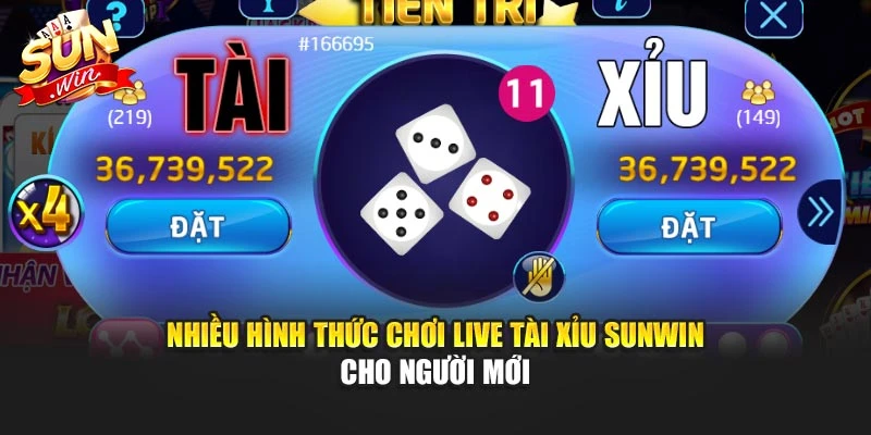 Nhiều hình thức chơi Live Tài Xỉu Sunwin cho người mới